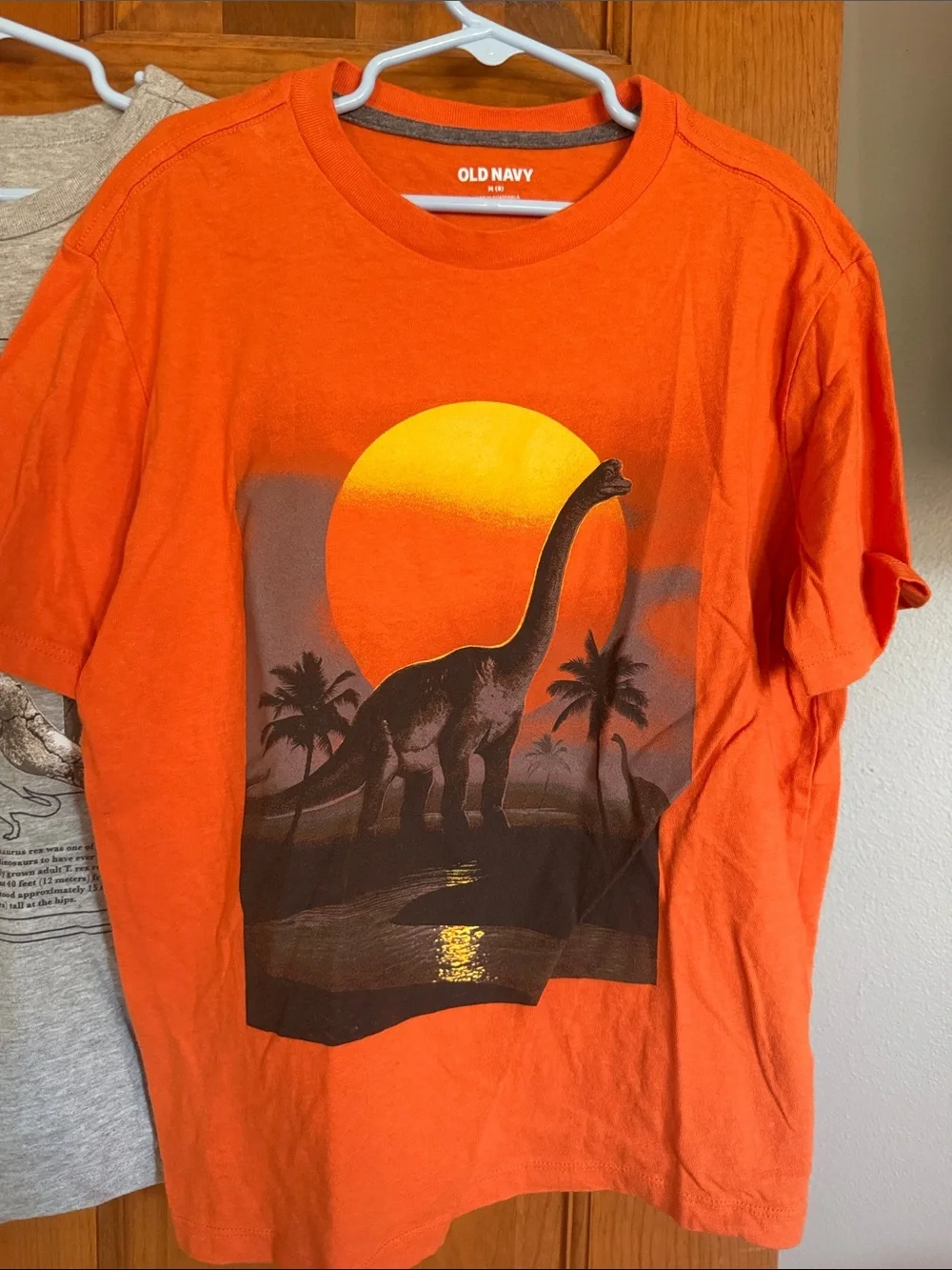 Gap & Old Navy graphic dinosaur shirts, M/8